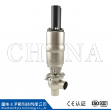 Q Pneumatic Globe Valve (+Switch Position Feedback)
