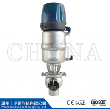 Intelligent Q-type Pneumatic Globe Valve