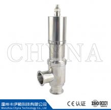 SG-E type safety valve