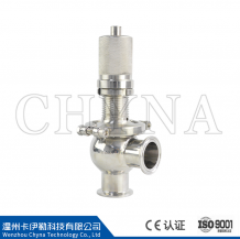 Basic type safety valve